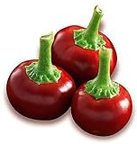 Foto Hot Chili Pfeffer Cherry Rot - Pepper - 20 Samen, bester Preis 1,60 €, Bestseller 2024