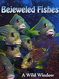 Photo Bejeweled Fishes, best price $2.99, bestseller 2024