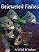 Bejeweled Fishes new 2024