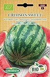 Foto Germisem Wassermelone CRIMSON SWEET, ECBIO5006, bester Preis 3,99 €, Bestseller 2024