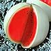 Seeds4planting - Seeds Watermelon Snow White Giant Heirloom Fruits Non GMO new 2022