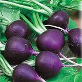 Photo Seeds Radish Purple Rare 20 Days Vegetable for Planting Non GMO, best price $8.99, bestseller 2024