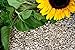 Futterbauer 10 Kg geschälte Sonnenblumenkerne neu 2024