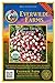 Everwilde Farms - 250 Organic French Breakfast Radish Seeds - Gold Vault Packet new 2024