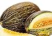 50 Piel de Sapo Melon Seeds | Non-GMO | Heirloom | Fresh Garden Seeds new 2023