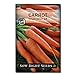 Sow Right Seeds - Imperator 58 Carrot Seed for Planting - Non-GMO Heirloom Packet with Instructions to Plant a Home Vegetable Garden, Great Gardening Gift (1) new 2024