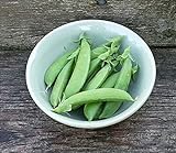 Photo Pea Seed, Sugar Snap Pea, Heirloom, Non GMO, 50 Seeds, Perfect Peas, Country Creek Acres, best price $2.99 ($0.06 / Count), bestseller 2024