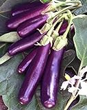 Photo Eggplant , Long Purple Eggplant Seeds, Heirloom, Non GMO, 25 Seeds, Garden Seed, Long Purple, Heirloom, Non GMO, 25+Seeds, Garden Seed, best price $1.99 ($0.08 / Count), bestseller 2024