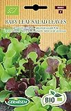 Foto Germisem Orgánica Baby Leaf Salad Leaves Semillas de Lechuga 2 g, mejor precio 3,99 €, éxito de ventas 2024