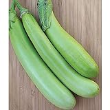 Photo Lousiana Long Green Eggplant Seeds (30+ Seed Package), best price $4.19, bestseller 2024