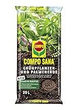 Foto COMPO SANA Grünpflanzen- und Palmenerde mit 12 Wochen Dünger für alle Zimmer- und Balkonpflanzen sowie Palmen und Farne, Kultursubstrat, 20 Liter, bester Preis 14,46 € (0,72 € / l), Bestseller 2024