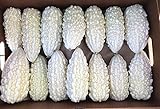 Photo Exotic White Bitter Gourd Seeds for Planting - 10 Seeds White Bitter Melon - Rare and Hard to Find. Ships from Iowa, USA, best price $10.29 ($1.03 / Count), bestseller 2024