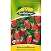 Erdbeeren, Monatserdbeeren Rügen, Fragaria vesca, ca. 100 Samen neu 2024