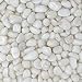 Midwest Hearth Natural Decorative Polished White Pebbles 3/8