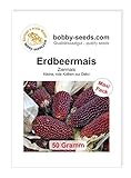 Foto Ziermaissamen Erdbeermais 50 Gramm, bester Preis 5,35 €, Bestseller 2024