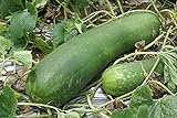 Photo 20 Organic Huge Chinese Asian Winter Melon Seeds Wax Gourd - Seed from Year 2021 USA, best price $7.98, bestseller 2024