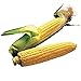 Burpee Illini Xtra Sweet Hybrid (Sh2) Sweet Corn Seeds 800 seeds new 2024