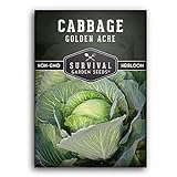 Photo Survival Garden Seeds - Golden Acres Green Cabbage Seed for Planting - Packet with Instructions to Plant and Grow Yellow-White Cabbages in Your Home Vegetable Garden - Non-GMO Heirloom Variety, best price $4.99, bestseller 2024