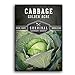 Survival Garden Seeds - Golden Acres Green Cabbage Seed for Planting - Packet with Instructions to Plant and Grow Yellow-White Cabbages in Your Home Vegetable Garden - Non-GMO Heirloom Variety new 2022
