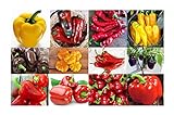 Photo Harley Seeds This is A Mix!!! 30+ Sweet Pepper Mix Seeds, 12 Varieties Heirloom Non-GMO, Pimento, Purple Beauty, from USA, green, best price $5.49 ($2.74 / Gram), bestseller 2024