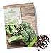 BIO Brokkoli Samen (Calabrese) - Brokkoli Saatgut aus biologischem Anbau ideal für die Anzucht im Garten, Balkon oder Terrasse neu 2024