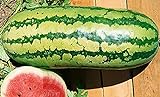 Photo 25 Garrisonian Watermelon Seeds | Non-GMO | Heirloom | Instant Latch Fresh Garden Seeds, best price $5.95, bestseller 2024