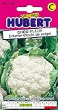 Photo Graines de Chou-fleur Erfurter - Boule de Neige - 1 gramme, meilleur prix 3,55 €, best-seller 2024