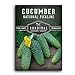 Survival Garden Seeds - National Pickling Cucumber Seed for Planting - Packet with Instructions to Plant and Grow Cucumis Sativus in Your Home Vegetable Garden - Non-GMO Heirloom Variety new 2024