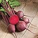David's Garden Seeds Beet Red Ace 1239 (Red) 200 Non-GMO, Hybrid Seeds new 2024