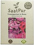 Foto SaatPur Sommerblumenmischung Traumgarten in Rosa Samen Saatgut Blumenmischung Mix, bester Preis 3,99 €, Bestseller 2024
