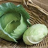 Photo David's Garden Seeds Cabbage Tendersweet 9983 (Green) 50 Non-GMO, Hybrid Seeds, best price $3.45, bestseller 2024