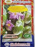 Photo Golden Mountain Thai Round Eggplant Seeds, best price $6.99, bestseller 2024
