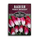 Photo Survival Garden Seeds - French Breakfast Radish Seed for Planting - Pack with Instructions to Plant and Grow Long Radishes to Eat in Your Home Vegetable Garden - Non-GMO Heirloom Variety, best price $4.99, bestseller 2024