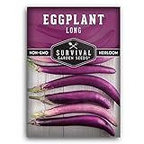 Photo Survival Garden Seeds - Long Purple Eggplant Seed for Planting - Packet with Instructions to Plant and Grow Skinny Italian Aubergines in Your Home Vegetable Garden - Non-GMO Heirloom Variety, best price $4.99, bestseller 2024