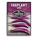 Survival Garden Seeds - Long Purple Eggplant Seed for Planting - Packet with Instructions to Plant and Grow Skinny Italian Aubergines in Your Home Vegetable Garden - Non-GMO Heirloom Variety new 2022
