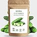 SEEDRA 120+ Cucumber Seeds for Indoor, Outdoor and Hydroponic Planting, Non GMO Heirloom Seeds for Home Garden - 1 Pack new 2024