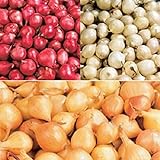 Photo Red,Yellow,White or Mix Onion Sets (40 bulbs) Garden Vegetable(Red), best price $5.35, bestseller 2024