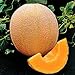 Park Seed Hale's Best Organic Melon Seeds Delicious Cantaloupe Certified Organic Thick Flesh, Sweet Juicy Flavor, Pack of 20 Seeds new 2022