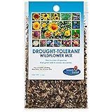 Photo Drought Resistant Tolerant Wildflower Seeds Open-Pollinated Bulk Flower Seed Mix for Beautiful Perennial, Annual Garden Flowers - No Fillers - 1 oz Packet, best price $9.69, bestseller 2024