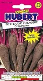 Photo Graines de Betterave Potagere Crapaudine - 4 grammes, meilleur prix 4,65 €, best-seller 2024