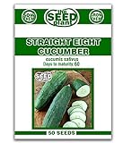 Photo Straight Eight Cucumber Seeds - 50 Seeds Non-GMO, best price $1.59 ($0.03 / Count), bestseller 2024