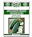 Straight Eight Cucumber Seeds - 50 Seeds Non-GMO new 2023