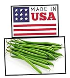 Photo Green Bean Seeds-Heirloom Variety-Bush Bean Planting Seeds-50+ Seeds-USA Grown and Shipped from USA, best price $6.99, bestseller 2024