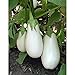 White Star Eggplant Seeds(Hybrid) Seeds (40 Seed Pack) new 2024