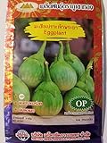 Photo Golden Mountain Thai Light Green Round Medium Eggplant Seeds, best price $6.99, bestseller 2024