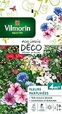 Photo Vilmorin 5862942 Fleur parfumée, Multicolore, 90 x 2 x 160 cm, meilleur prix 4,50 €, best-seller 2024