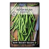 Photo Sow Right Seeds - Contender Green Bean Seed for Planting - Non-GMO Heirloom Packet with Instructions to Plant a Home Vegetable Garden, best price $5.49, bestseller 2024