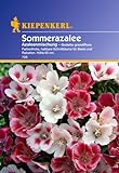 Foto Sperli Blumensamen Sommerazalee Godetia Mischung, grün, bester Preis 2,88 € (96,00 € / 100 g), Bestseller 2024
