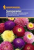 Foto Sperli Blumensamen Prinzeß-Aster Callistephus Mischung, grün, bester Preis 2,01 €, Bestseller 2024