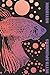 Betta Splendens: Dieses Notizbuch gefällt jedem Fan von Siamesischen Kampffischen | ca. A5 | gepunktete Seiten | Tolles Geschenk für alle Aquaristik-Liebhaber! neu 2023